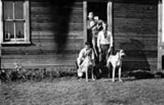 Coyotte hounds, wolf killers, Alberta