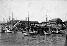 Salmon canneries, boats, and nets, Steveston, near Vancouver, B.C 1900-1910