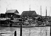 Salmon canneries, Boats & Nets, Steveston near Vancouver, B.C 1900-1910