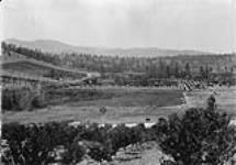 Overlooking Prairie Valley, Summerland, B.C 1900-1910