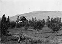 Apple orchard five miles from Vernon, B.C 1900-1910