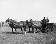 1st prize, four horse team at Brandon Fair 1905