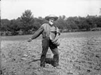 John Tiffin Sowing Fall Wheat 1900-1910