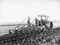 Ploughing on William Hamilton's Farm near Hamiota, Man 1905 - 1909