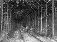 Galerie pare-neige du chemin de fer Intercolonial près de Wentworth (Nouvelle-Écosse) Juin-Août 1875.