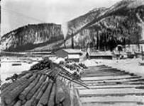 The sawmill at Twelve Mile River, Y.T