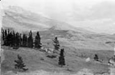 Mount Fitzhugh, B.C 1914
