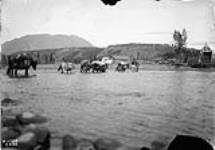 Pack train crossing Tatshenshini River near Dalton Post, Y.T., 1900