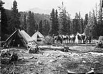 Camp on Alsek River with Horses. B.C.-Yukon Boundary