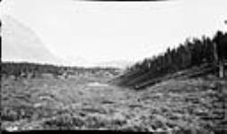 Banff National Park Boundary: The sunwapta Pass: From the summit of the pass looking south, Mt. Coleman in centre 6 Sept. 1935