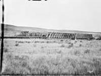 Part of Irrigation Schme, probably Alberta 1894