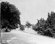 Driveway and Canal just west of Bank Street, Ottawa, Ont 1910
