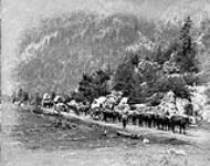 Teaming on Cariboo wagon road ca. 1878-1883