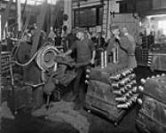 Machining 75 mm shells. Cluff Ammunition Co. Toronto, Ont [1914-1918]