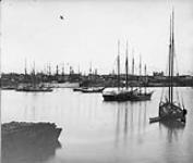 Victoria Harbour, B.C ca. 1900 - ca. 1939