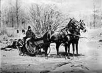 [Capt. Stapleton with sleigh] Apr. 1875