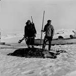 Fred Carpenter and Peter Esau with bearded seal, Near Sachs Harobur N.W.T Spring 1957
