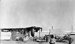 Satsik, Banks Island, N.W.T. Drying meat Spring 1932
