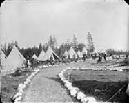 Naval camp on McNab Island [ca 1904].