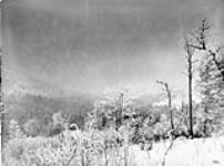 Winter scene taken while snowing ca. 1865