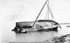 Wreck of the Canadian Pacific Railway Steamship "Algoma" 1885