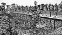 Bridge spanning Rosedale Ravine, "Toronto, Ont." c.a. 1887