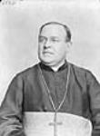 Mgr. Maxime Decelles, Evêques titulaire de Druzipara, P.Q 1893