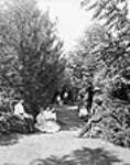 Lover's lane in Del Monte grounds 1905