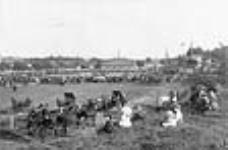 Galt Horse Show 1905