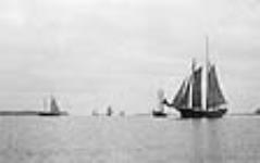 Entrance to Pictou Harbour 1906