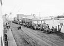 Street scene, Lacombe, Alberta. Hog Shipping Day 1910