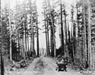 The Canadian highway on Vancouver Island 1912