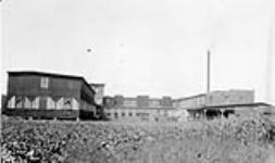 Dominion Canners Plants, Tilbury, Ont 1923 - 1924