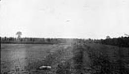 Wild Goose Pond, Jack Miner's Farm near Kingsville, Ont 1923 - 1924