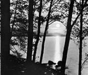 Moonlight, Stanley Park ca. 1900-1925