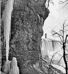 Terrapin Point and Terrapin Tower from below Goat Island, Niagara Falls c. 1870-73