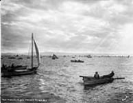 Fishing Fleet ca. 1900-1925