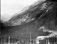 C.P.R. (Canadian Pacific Railway) - White Creek and Four Tunnels ca. 1900-1925