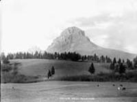 Crow's Nest Mountain ca. 1900-1925