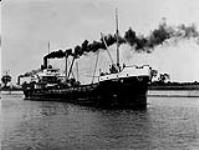 Steamship MAPLEBAY ca. 1925 - 1935
