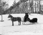 Lord Stanley's horse and sleigh. March, 1893 Mar. 1893
