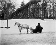 Lord Stanley's horse and sleigh. March, 1893 Mar. 1893