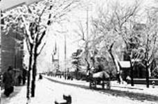 Metcalfe Street in winter, Ottawa, Ont