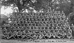 The 41st Battery, 11th Brigade C.F.A. at Witley Camp July 1916