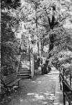 Lover's Walk showing Stairway [1920's]