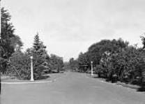View on Government Driveway near Cooper Street [1920's]