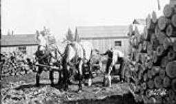 (Relief Projects - No. 17). Government team on clean-up Apr. 1934