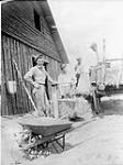 (Relief Projects - No. 18). Weighing in a shipment of hay May 1935