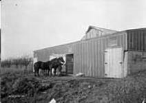 (Relief Projects - No. 28). Stables and one of the teams used on relief work Jan. 1933