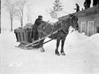 (Relief Projects - No. 39). Delivering fuel wood Jan. 1932